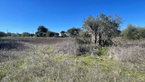 TERRENO RÚSTICO, ESTOI FARO