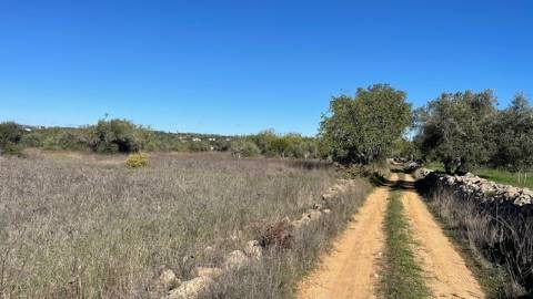 TERRENO RÚSTICO, ESTOI FARO
