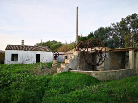 Quinta com 2,1 ha em Moncarapacho - Potencial Único na Ria Formosa