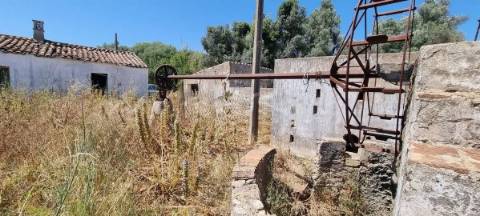 Quinta com 2,1 ha em Moncarapacho - Potencial Único na Ria Formosa