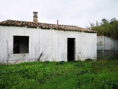 Quinta com 2,1 ha em Moncarapacho - Potencial Único na Ria Formosa