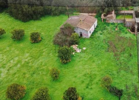 Quinta com 2,1 ha em Moncarapacho - Potencial Único na Ria Formosa