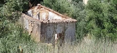 Quinta com 2,1 ha em Moncarapacho - Potencial Único na Ria Formosa