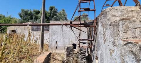 Quinta com 2,1 ha em Moncarapacho - Potencial Único na Ria Formosa