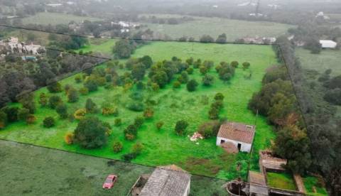 Quinta com 2,1 ha em Moncarapacho - Potencial Único na Ria Formosa