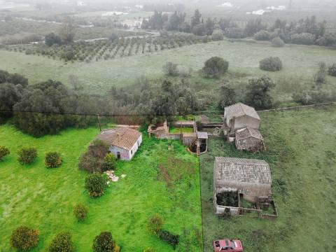 Quinta com 2,1 ha em Moncarapacho - Potencial Único na Ria Formosa