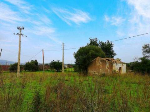Quinta com 2,1 ha em Moncarapacho - Potencial Único na Ria Formosa