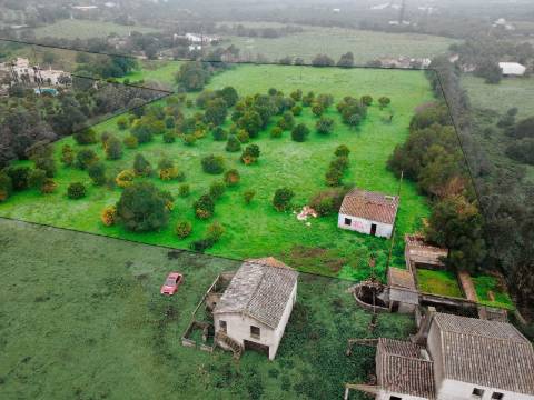Quinta com 2,1 ha em Moncarapacho - Potencial Único na Ria Formosa