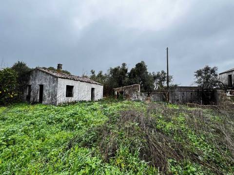 Quinta com 2,1 ha em Moncarapacho - Potencial Único na Ria Formosa