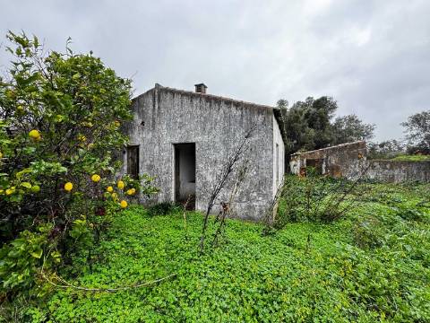 Quinta com 2,1 ha em Moncarapacho - Potencial Único na Ria Formosa