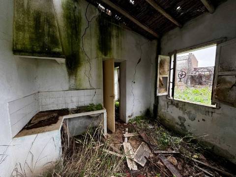 Quinta com 2,1 ha em Moncarapacho - Potencial Único na Ria Formosa