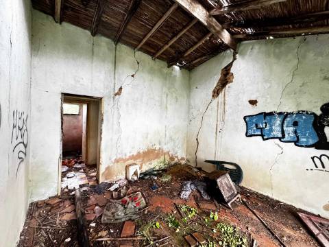 Quinta com 2,1 ha em Moncarapacho - Potencial Único na Ria Formosa