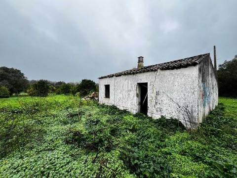 Quinta com 2,1 ha em Moncarapacho - Potencial Único na Ria Formosa