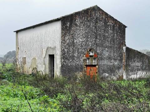Quinta com 2,1 ha em Moncarapacho - Potencial Único na Ria Formosa