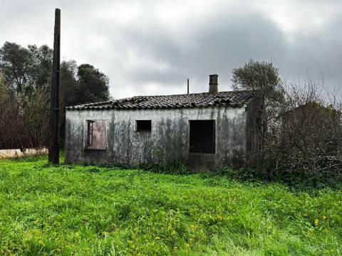 Quinta com 2,1 ha em Moncarapacho - Potencial Único na Ria Formosa