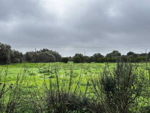 Quinta com 2,1 ha em Moncarapacho - Potencial Único na Ria Formosa