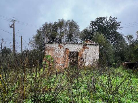 Quinta com 2,1 ha em Moncarapacho - Potencial Único na Ria Formosa