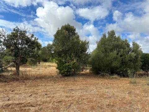 Quinta com 2,1 ha em Moncarapacho - Potencial Único na Ria Formosa