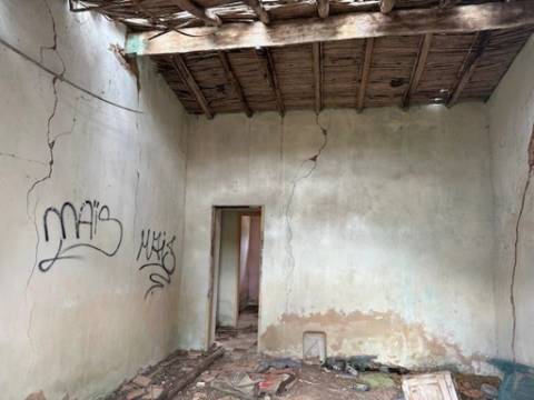 Quinta com 2,1 ha em Moncarapacho - Potencial Único na Ria Formosa