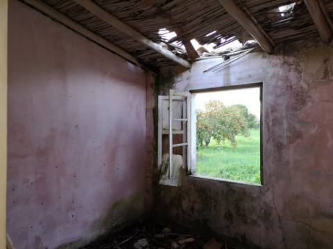 Quinta com 2,1 ha em Moncarapacho - Potencial Único na Ria Formosa