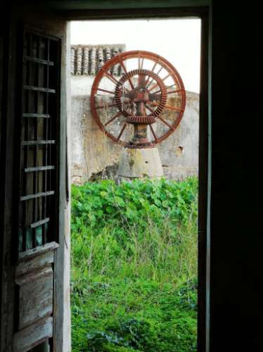 Quinta com 2,1 ha em Moncarapacho - Potencial Único na Ria Formosa