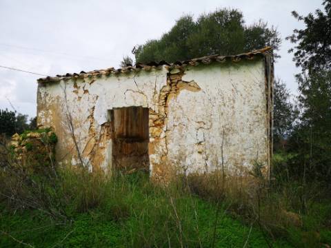 Quinta com 2,1 ha em Moncarapacho - Potencial Único na Ria Formosa