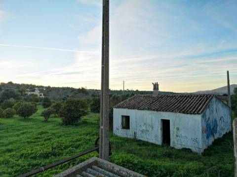 Quinta com 2,1 ha em Moncarapacho - Potencial Único na Ria Formosa