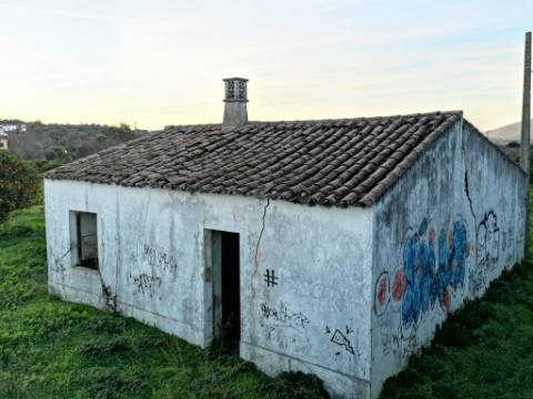 Quinta com 2,1 ha em Moncarapacho - Potencial Único na Ria Formosa