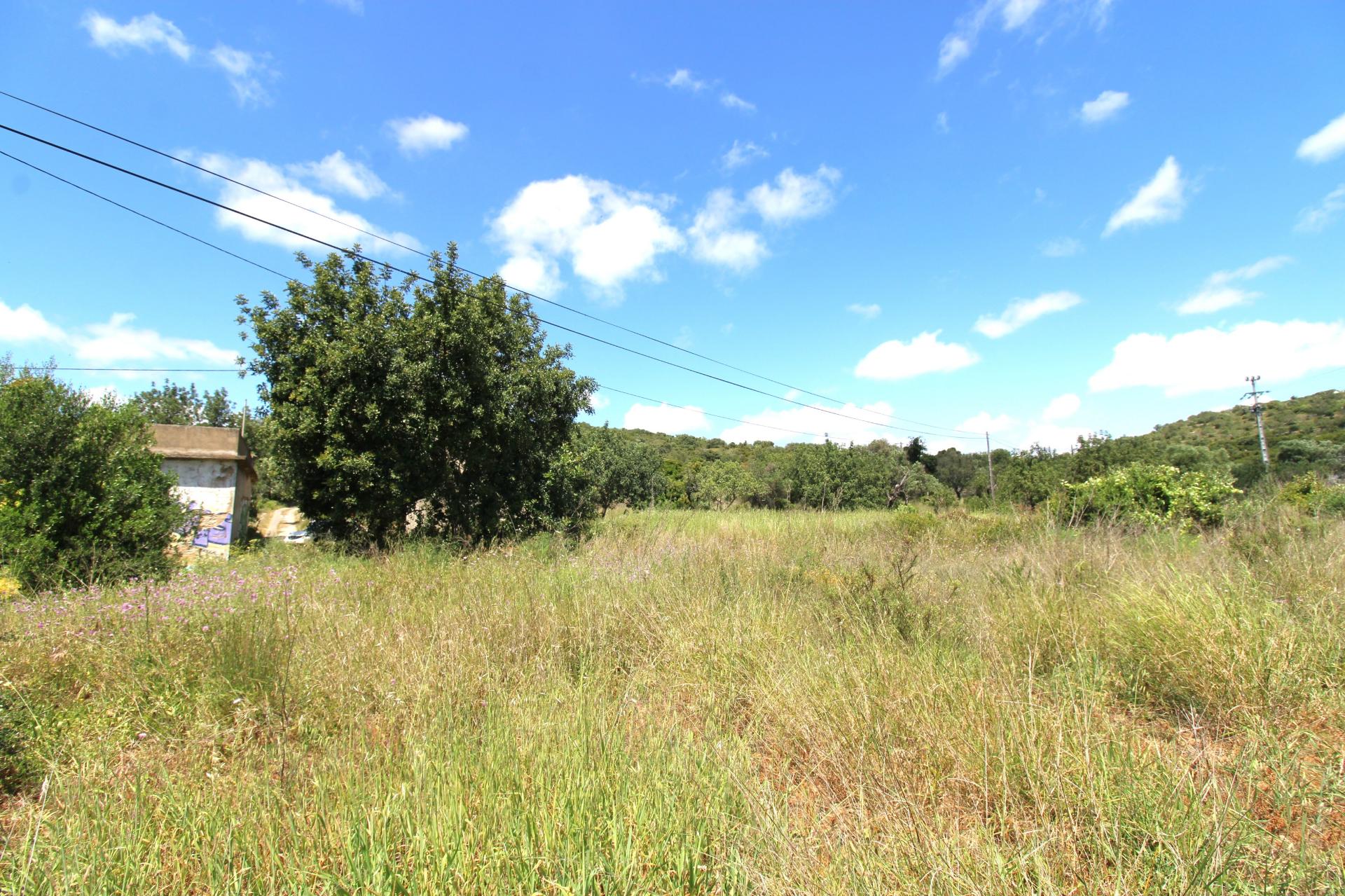 OPORTUNIDADE RARA NO ALGARVE | RUÍNA COM 10.400 m² + POTENCIAL DE CONSTRUÇÃO | FARO