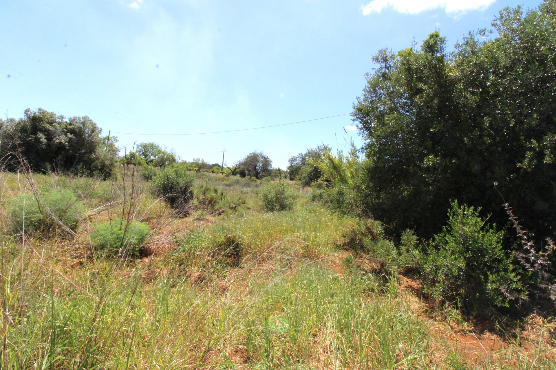 OPORTUNIDADE RARA NO ALGARVE | RUÍNA COM 10.400 m² + POTENCIAL DE CONSTRUÇÃO | FARO