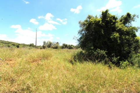 OPORTUNIDADE RARA NO ALGARVE | RUÍNA COM 10.400 m² + POTENCIAL DE CONSTRUÇÃO | FARO