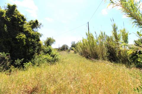 OPORTUNIDADE RARA NO ALGARVE | RUÍNA COM 10.400 m² + POTENCIAL DE CONSTRUÇÃO | FARO