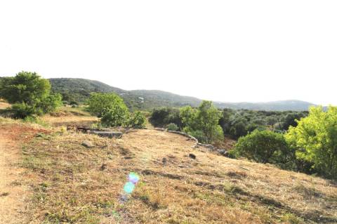 **Terreno Misto com Vários Artigos em Estoi - Faro**
