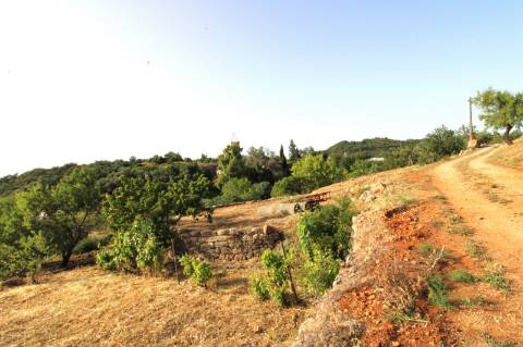 **Terreno Misto com Vários Artigos em Estoi - Faro**
