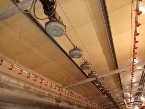 Pavilhão para Aviário