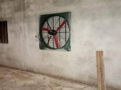 Pavilhão para Aviário