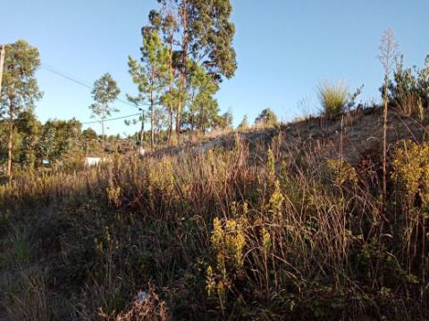 Terreno para Construção
