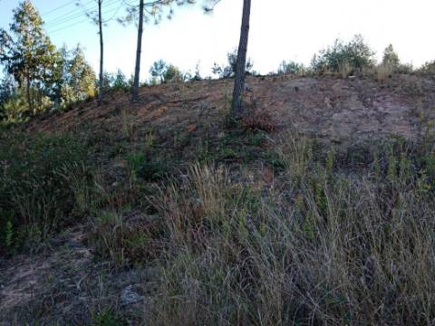 Terreno para Construção