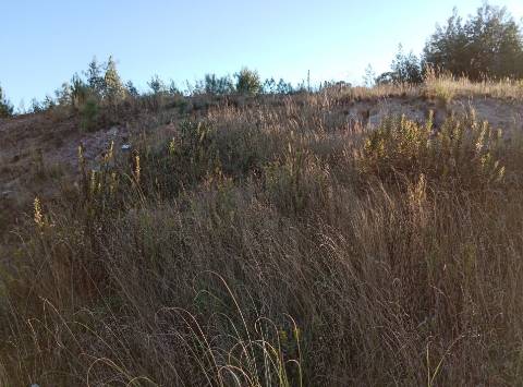 Terreno para Construção