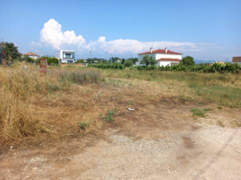 Terreno para Construção