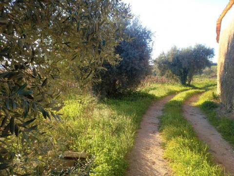 Terreno para Construção