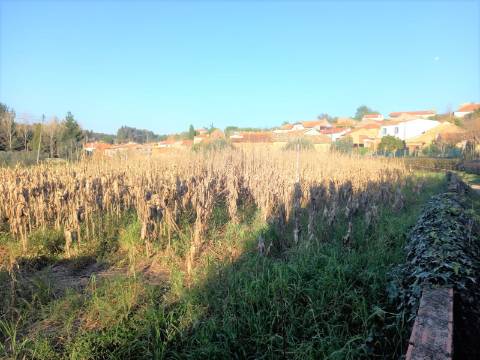 Terreno para Construção