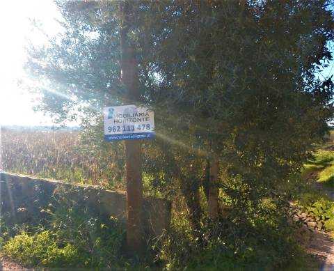 Terreno para Construção