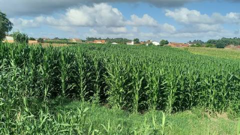 Terreno para Construção