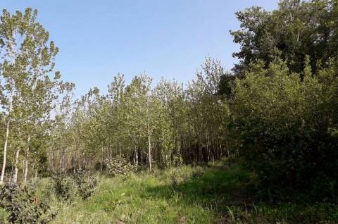 Quinta com 25.000 m²