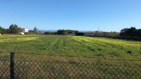 Terreno com 9.000 m²