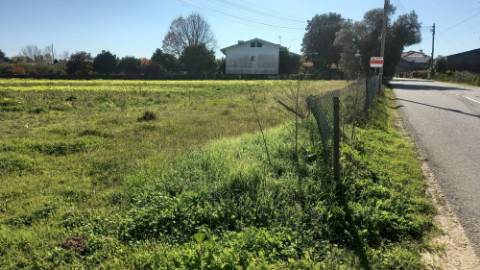 Terreno com 9.000 m²