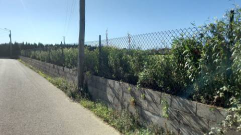 Terreno com 9.000 m²