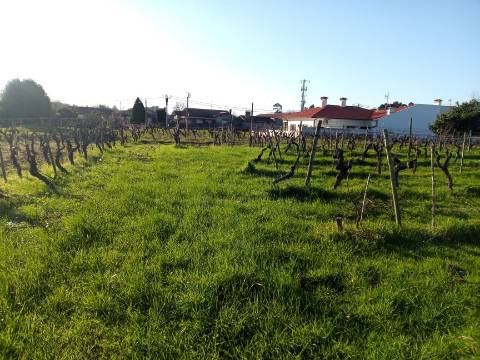 Terreno para Construção