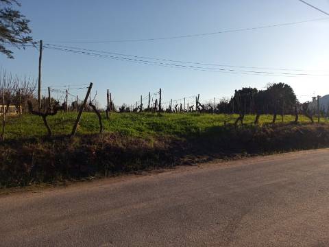 Terreno para Construção